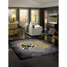 Load image into Gallery viewer, Green Bay Packers Distressed Rug