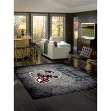 Load image into Gallery viewer, New England Patriots Distressed Rug