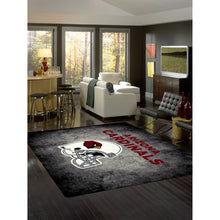 Load image into Gallery viewer, Arizona Cardinals Distressed Rug