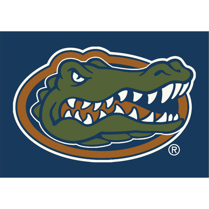 University Of Florida Spirit Rug