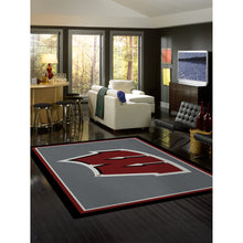 Load image into Gallery viewer, University Of Wisconsin Spirit Rug