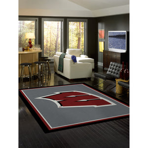 University Of Wisconsin Spirit Rug