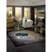 Load image into Gallery viewer, Chicago Bears Distressed Rug