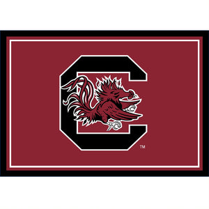 South Carolina Gamecocks 3x4 Area Rug