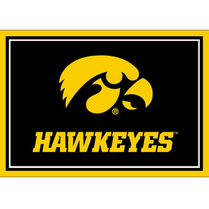 Iowa Hawkeyes 3x4 Area Rug