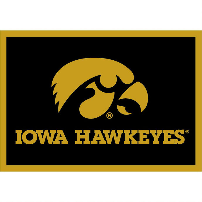 Iowa Hawkeyes Spirit Rug