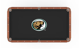 Bemidji State University Pool Table