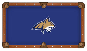 Montana State University Pool Table