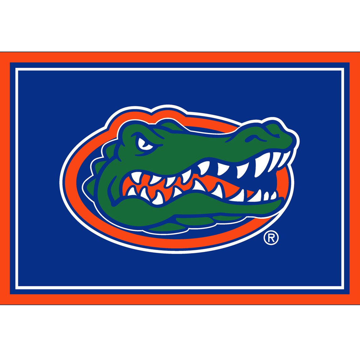 Florida Gators 3x4 Area Rug