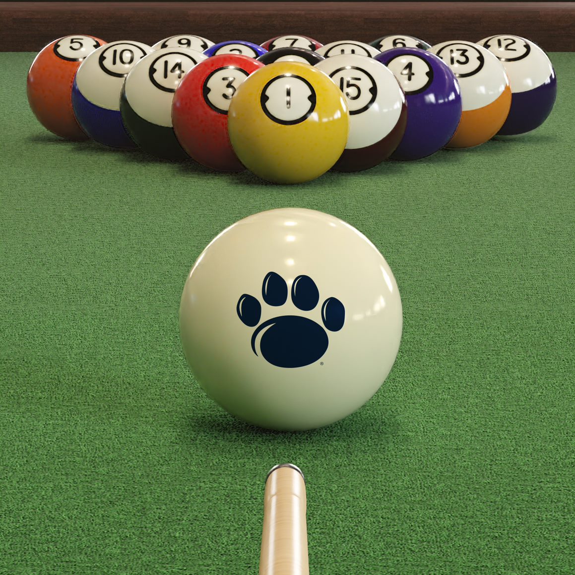 Penn State Nittany Lions Cue Ball