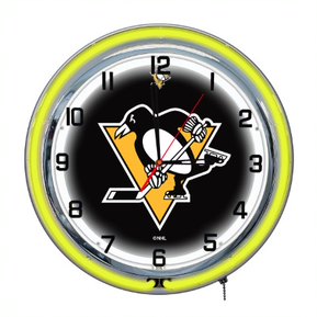 Pittsburgh Penguins 18