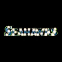 Load image into Gallery viewer, Seattle Seahawks Lighted Recycled Metal Sign